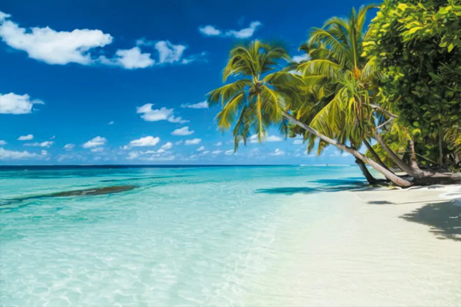 Adesivo para cartão Praia Tropical Azul