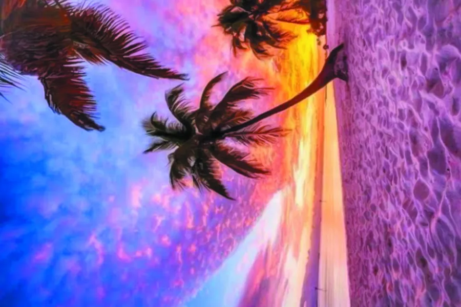 Adesivo para cartão Pôr do Sol Tropical