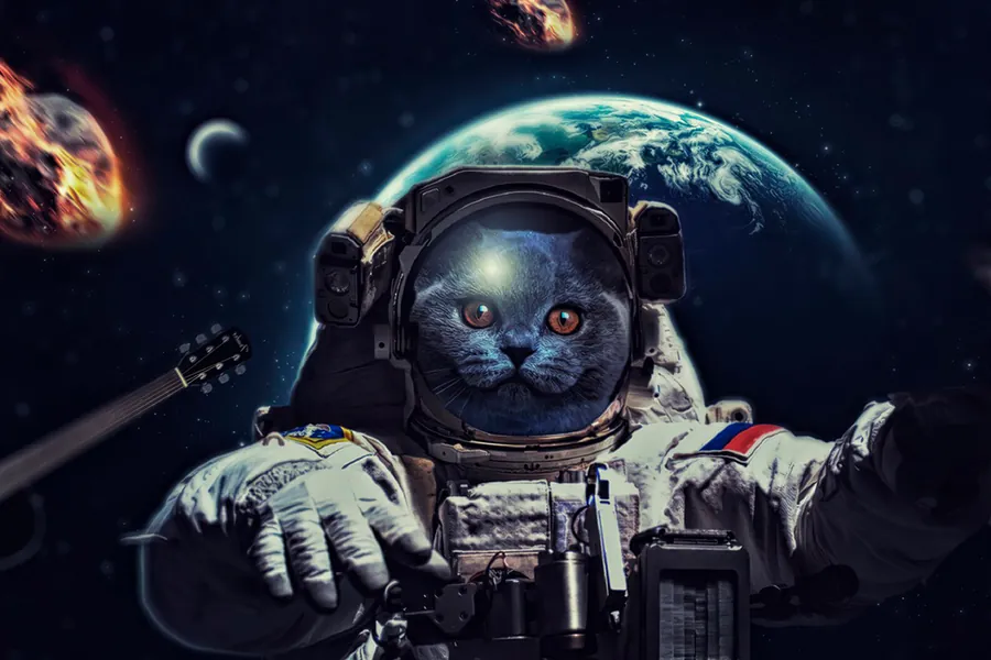 Adesivo para cartão Gato Astronauta no Espaço