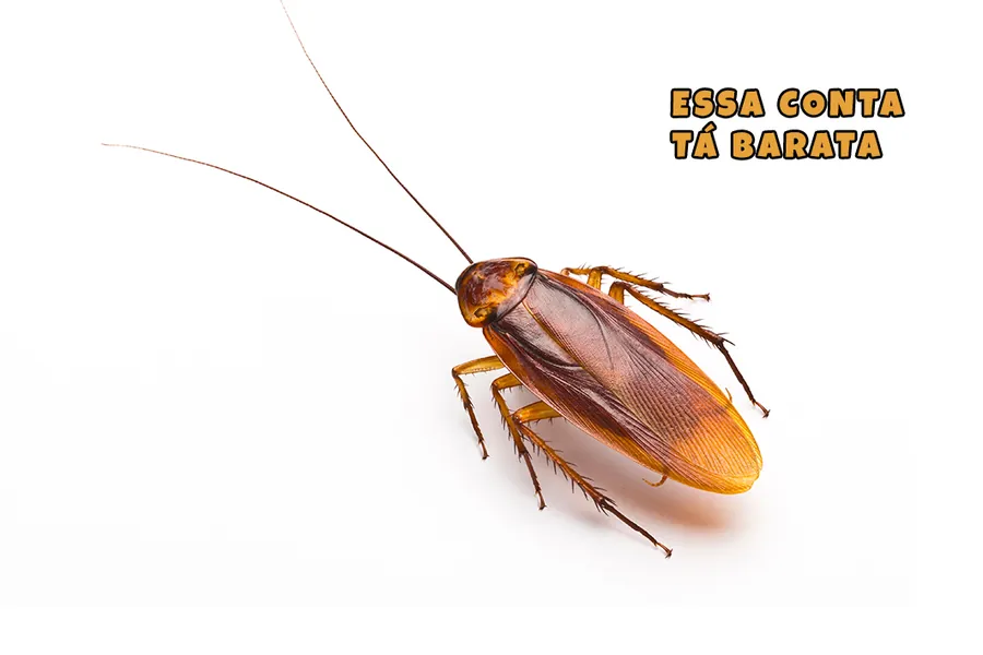 Adesivo para cartão Barata com Frase