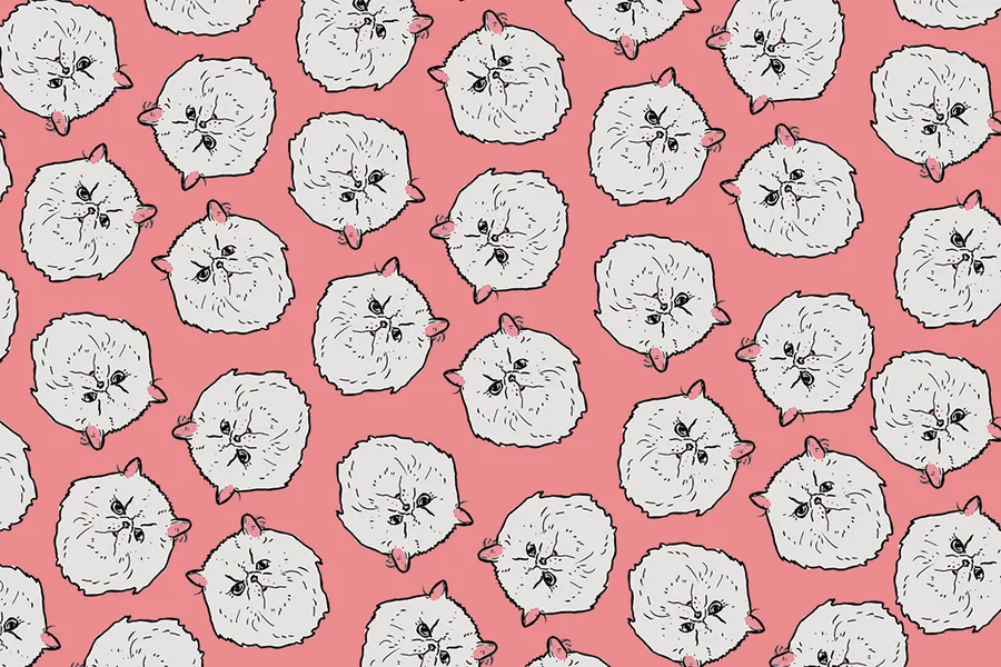 Adesivo para cartão Flores Brancas no Rosa