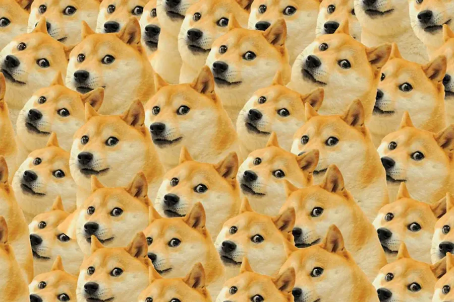 Adesivo para cartão Doge Padrão Bege